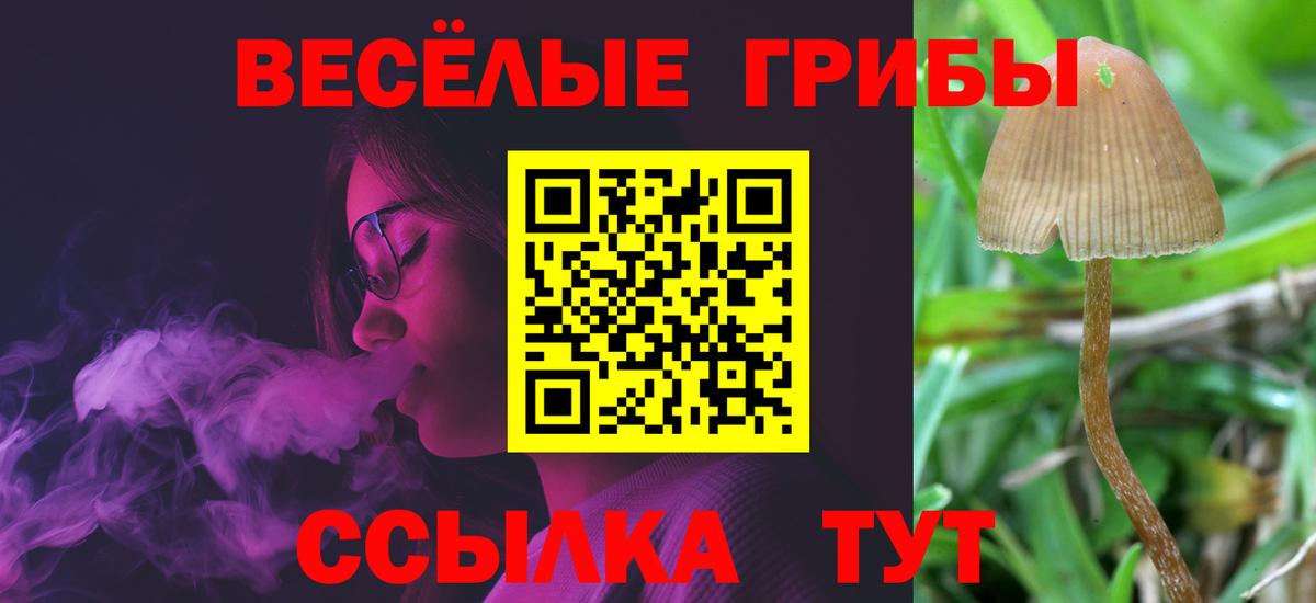 Котельники  Псилоцибиновые грибы мухоморы  Вход с VPN  Псилоцибиновые грибы мухоморы 